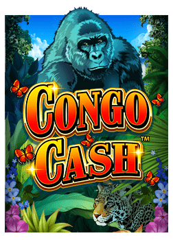 โปร ฝาก 20 รับ 100 joker วิธีเล่นง่าย ๆ สำหรับมือใหม่